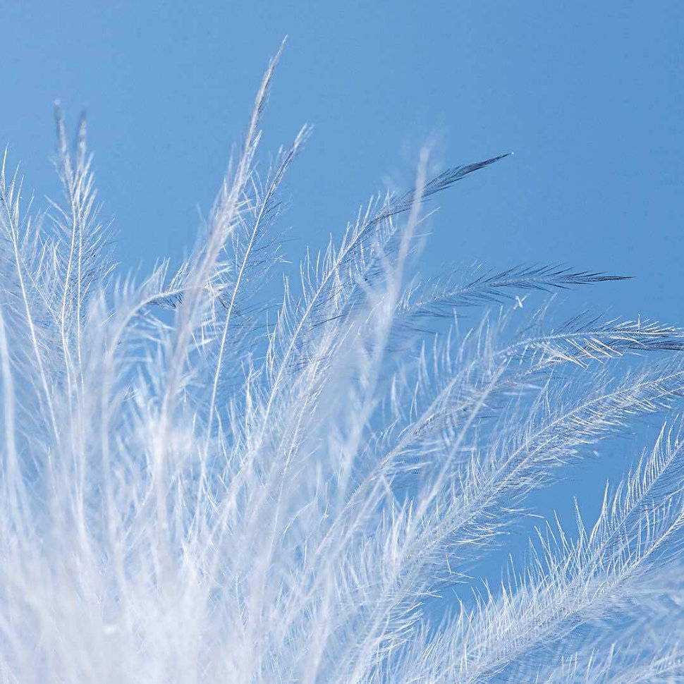 Куртка с подогревом 90 Points NinetyGo Temperature Control Jacket (L) Чёрная Куртка с подогревом 90 Points NinetyGo Temperature Control Jacket (L) Чёрная