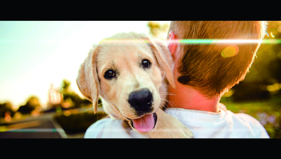 Объектив Sirui 35mm F/1.8 Anamorphic Micro 4/3 Объектив Sirui 35mm F/1.8 Anamorphic Micro 4/3