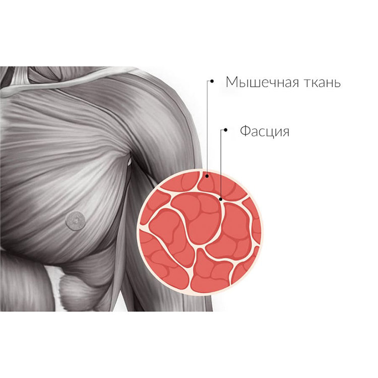 Массажер Yunmai Massage Fascia Gun Pro Basic  Серый Массажер Yunmai Massage Fascia Gun Pro Basic  Серый