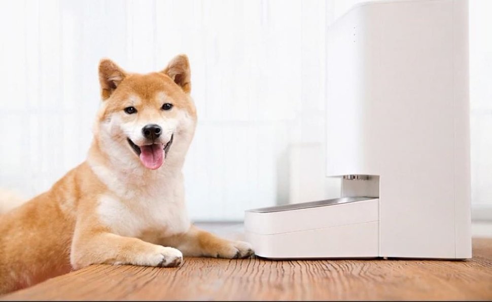 Умная кормушка для животных Xiaomi Mijia Smart Pet Feeder Умная кормушка для животных Xiaomi Mijia Smart Pet Feeder