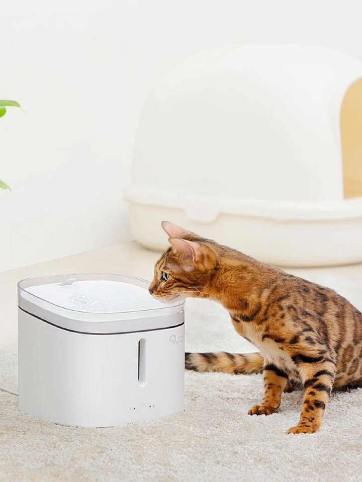 Поилка для животных Petoneer Smart Pet Water Dispenser Белая Поилка для животных Petoneer Smart Pet Water Dispenser Белая