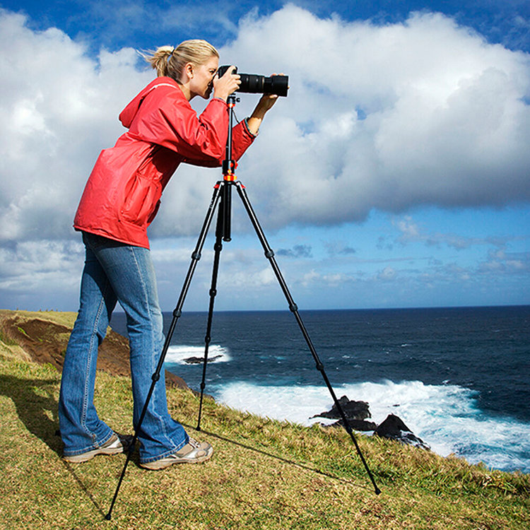 Штатив K&F Concept SA254T2 Штатив K&F Concept SA254T2