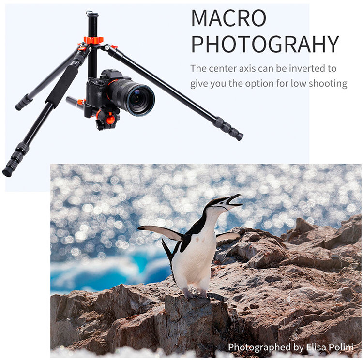 Штатив K&F Concept SA254T2 Штатив K&F Concept SA254T2