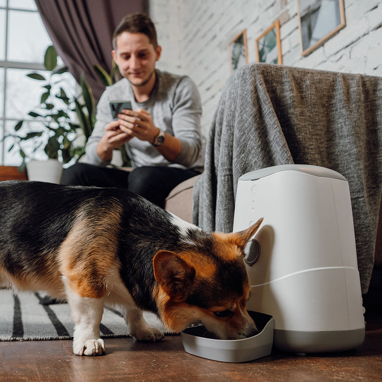 Умная кормушка Petoneer Nutri Feeder Умная кормушка Petoneer Nutri Feeder