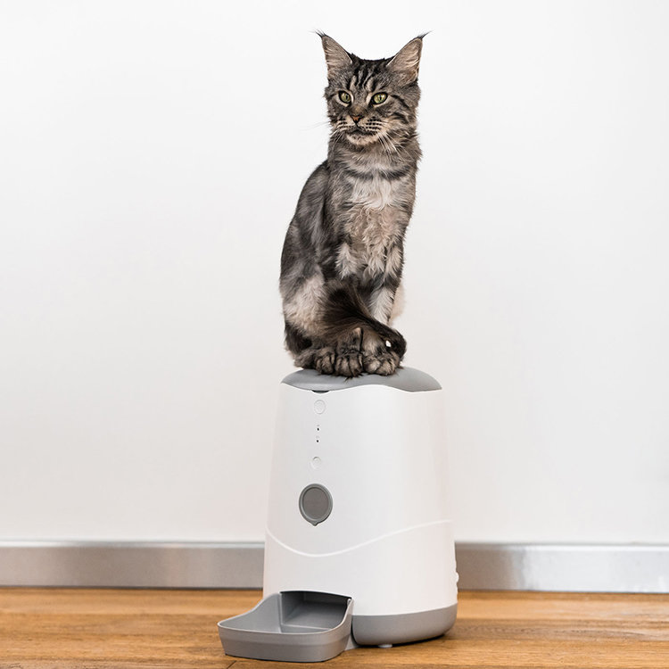 Умная кормушка Petoneer Nutri Feeder Умная кормушка Petoneer Nutri Feeder