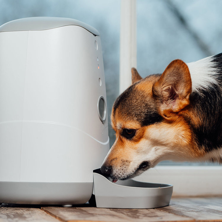 Умная кормушка Petoneer Nutri Feeder Умная кормушка Petoneer Nutri Feeder