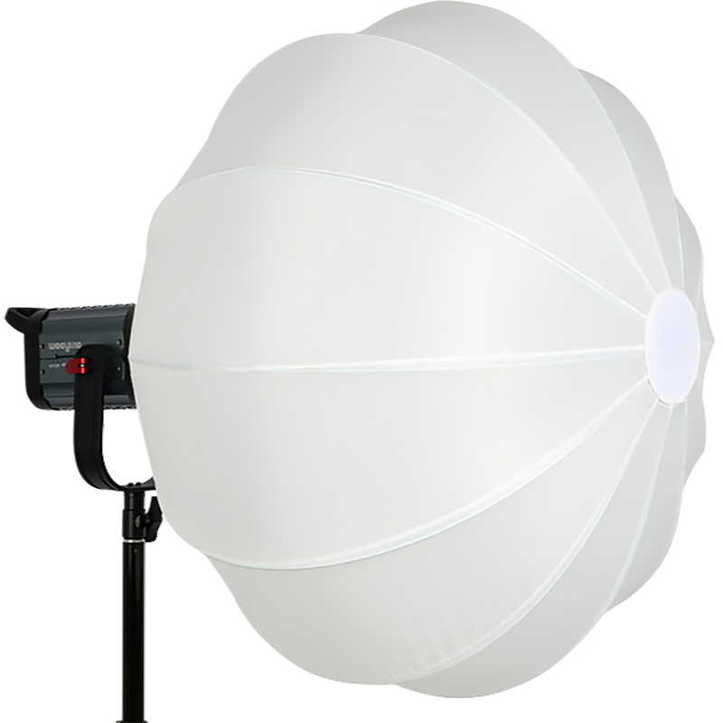 Софтбокс Weeylite VP-65i