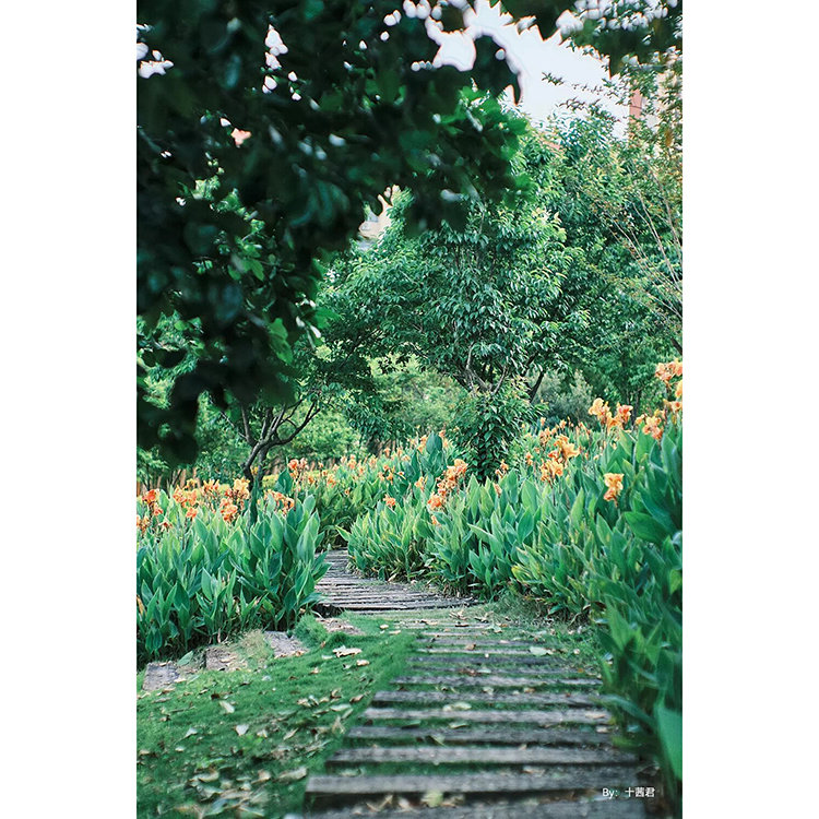 Объектив TTArtisan 50mm F0.95 EF-M Объектив TTArtisan 50mm F0.95 EF-M