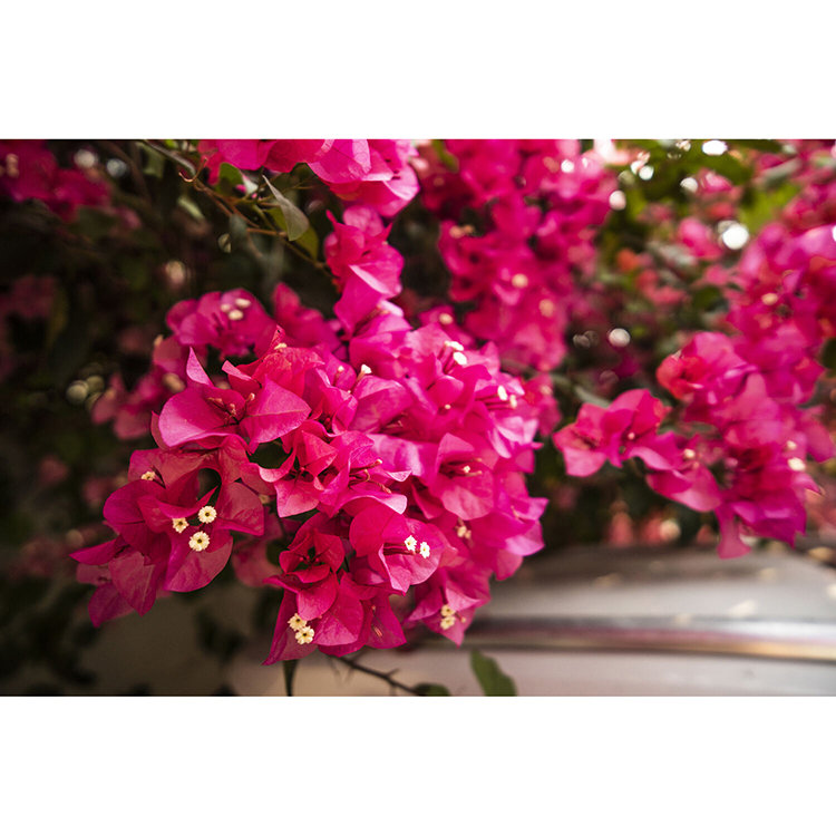 Объектив Viltrox AF 13mm F1.4 E-mount Объектив Viltrox AF 13mm F1.4 E-mount