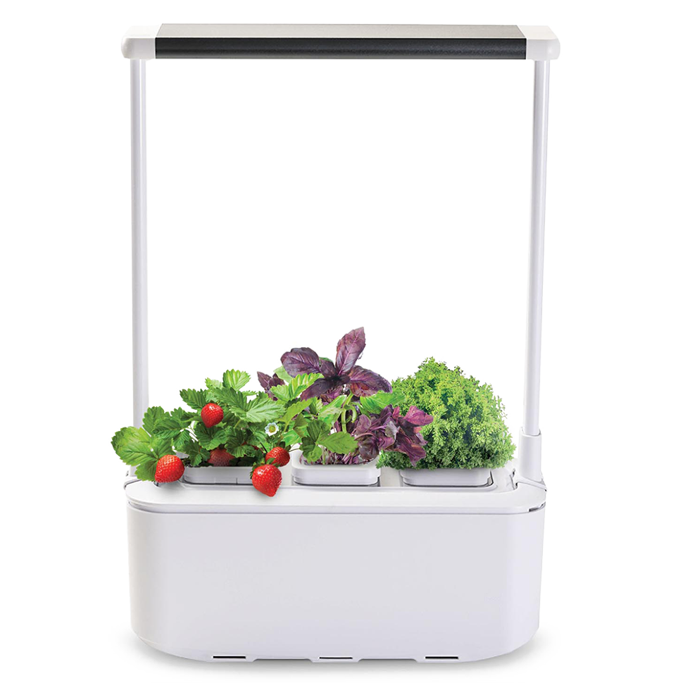 Компактный смарт-сад iGarden PRO с подсветкой Компактный смарт-сад iGarden PRO с подсветкой