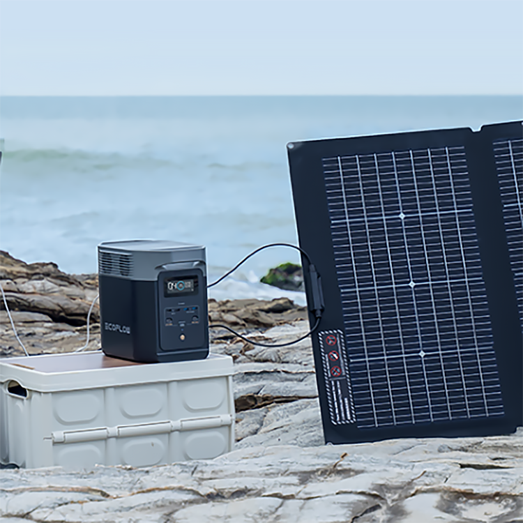 Портативная зарядная станция EcoFlow DELTA 2 1024Втч Портативная зарядная станция EcoFlow DELTA 2 1024Втч