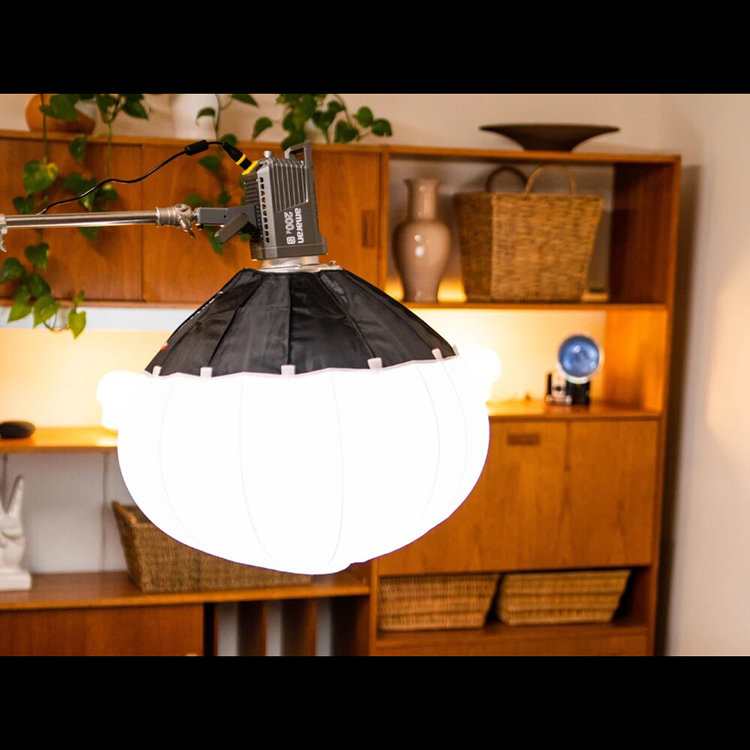 Осветитель amaran 200d S Осветитель amaran 200d S