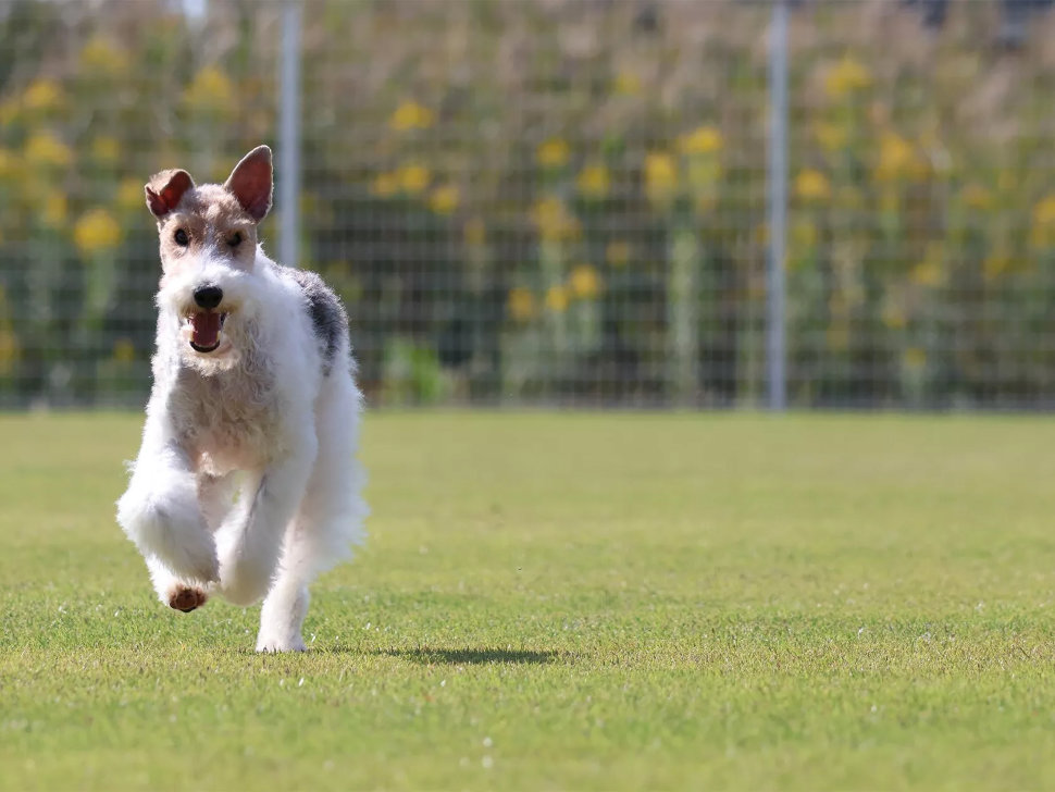 Беззеркальная камера Canon EOS R50 Kit (18-45 + 55-210 RF) Чёрная Беззеркальная камера Canon EOS R50 Kit (18-45 + 55-210 RF) Чёрная