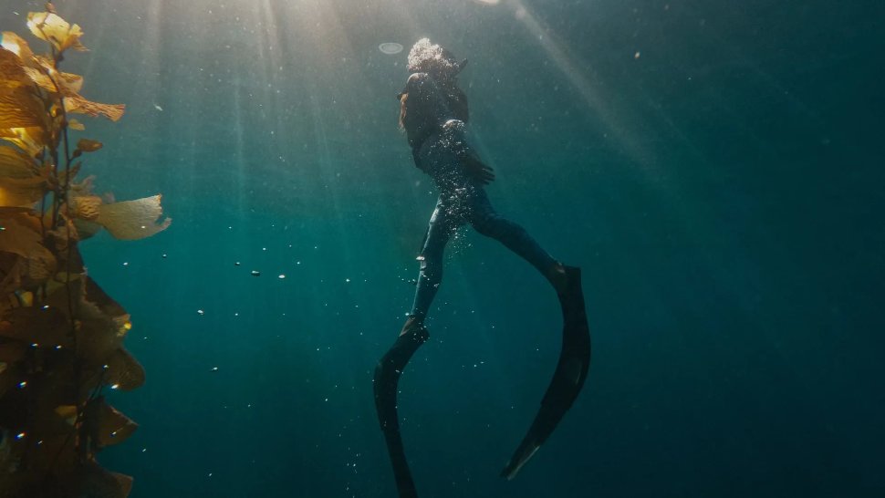 Экшн-камера GoPro Hero 11 Black Creator Edition Экшн-камера GoPro Hero 11 Black Creator Edition