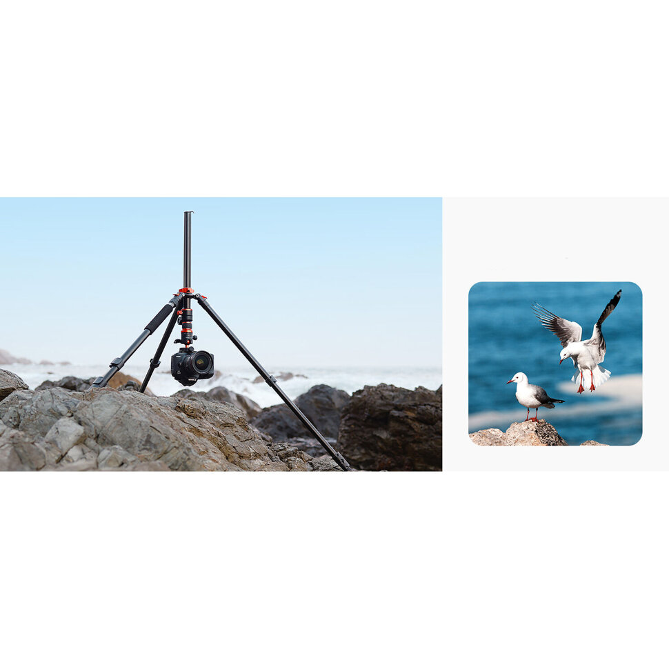 Штатив K&F Concept T254A7 с головой BH-28L Штатив K&F Concept T254A7 с головой BH-28L