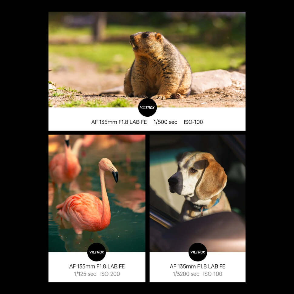 Объектив Viltrox AF 135mm F1.8 LAB FF E-mount Объектив Viltrox AF 135mm F1.8 LAB FF E-mount