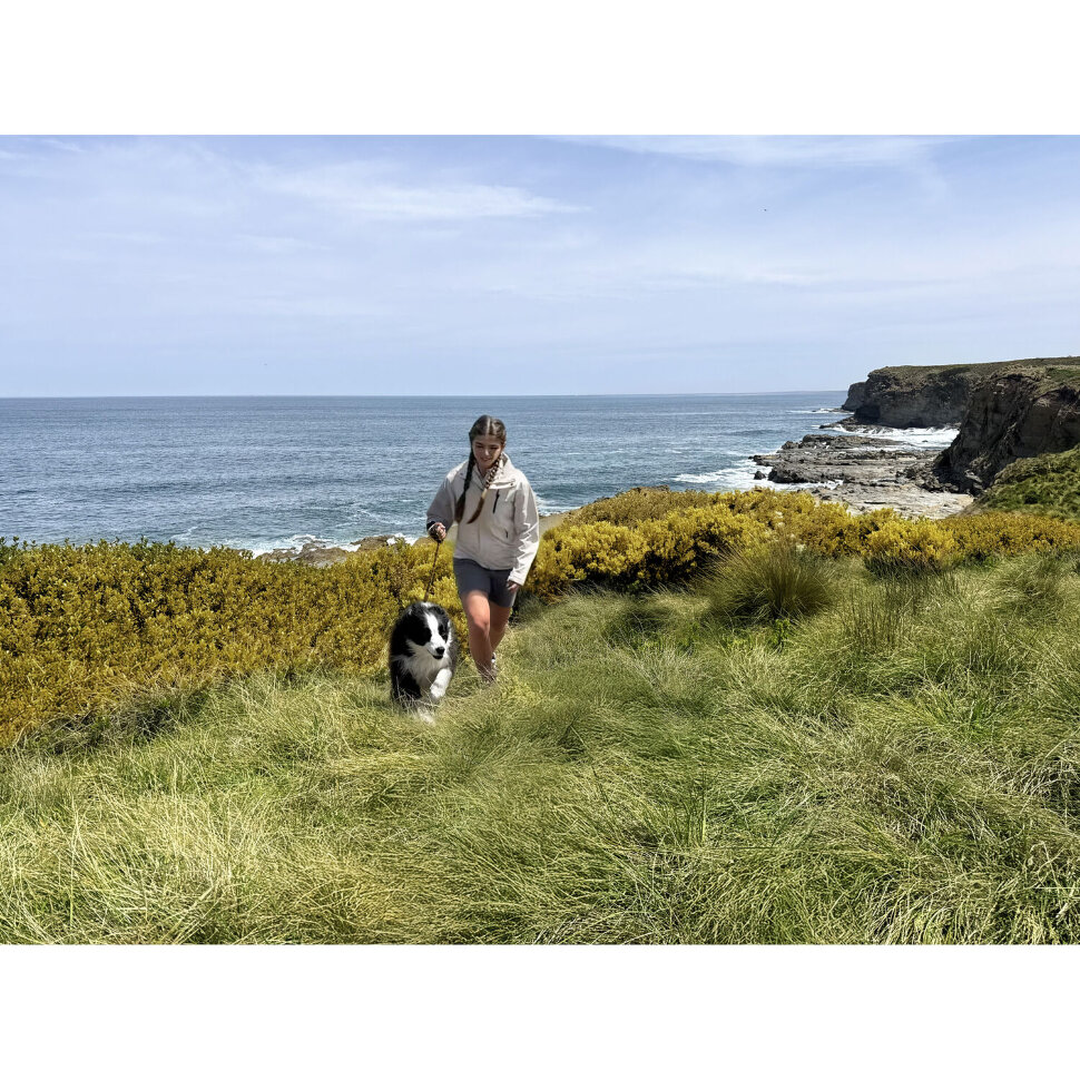 Стабилизатор DJI Osmo Mobile 7 Стабилизатор DJI Osmo Mobile 7