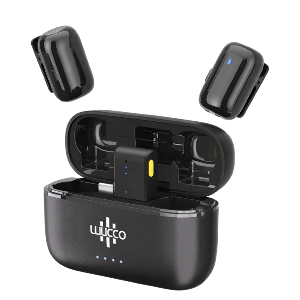 Радиосистема Luucco MiniPods Type-C Чёрная