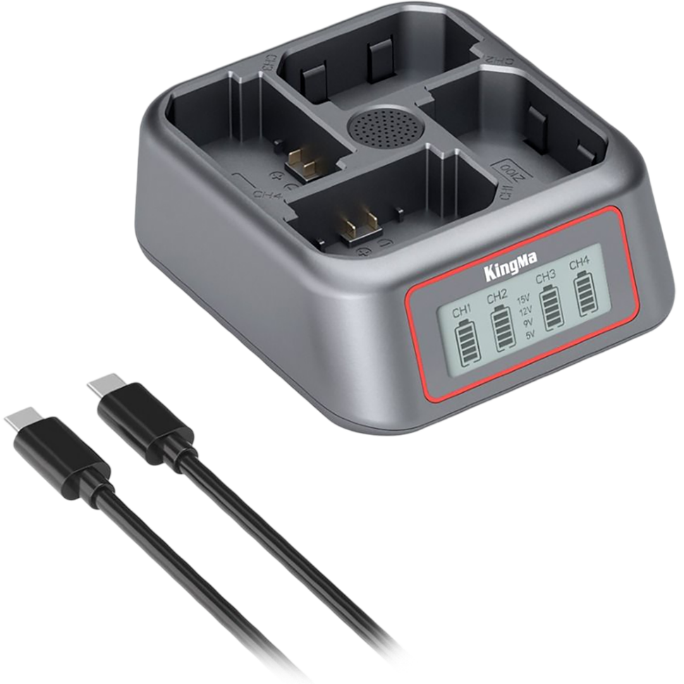Зарядное устройство KingMa BM069 для NP-FZ100 Зарядное устройство KingMa BM069 для NP-FZ100