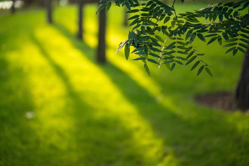 Объектив Viltrox AF 85mm F2.0 EVO FF Z-mount Объектив Viltrox AF 85mm F2.0 EVO FF Z-mount