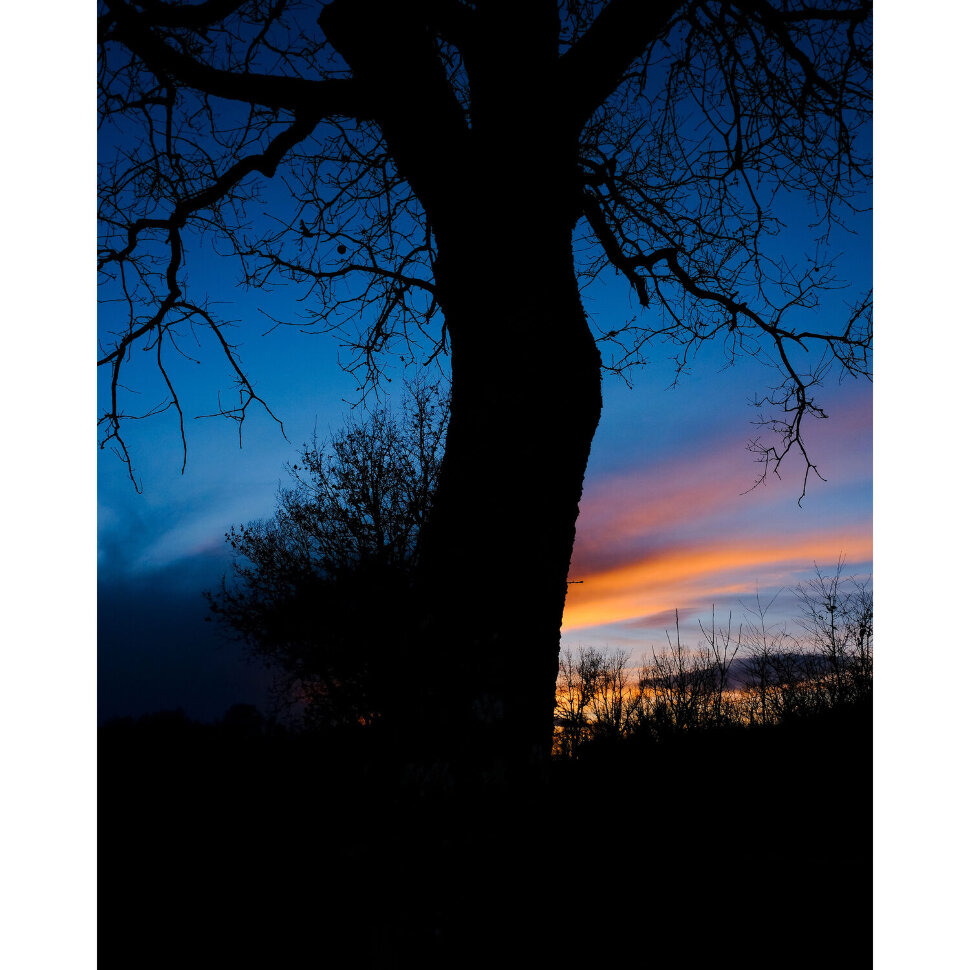 Беззеркальная камера Fujifilm X-T50 Kit Тёмное серебро (XC 15-45mm f/3.5-5.6 OIS PZ) Беззеркальная камера Fujifilm X-T50 Kit Тёмное серебро (XC 15-45mm f/3.5-5.6 OIS PZ)