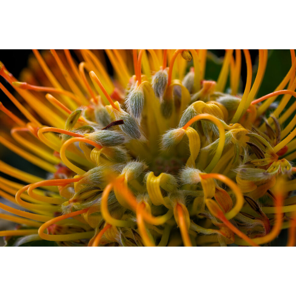 Беззеркальная камера Fujifilm X-T50 Kit Тёмное серебро (XC 15-45mm f/3.5-5.6 OIS PZ) Беззеркальная камера Fujifilm X-T50 Kit Тёмное серебро (XC 15-45mm f/3.5-5.6 OIS PZ)