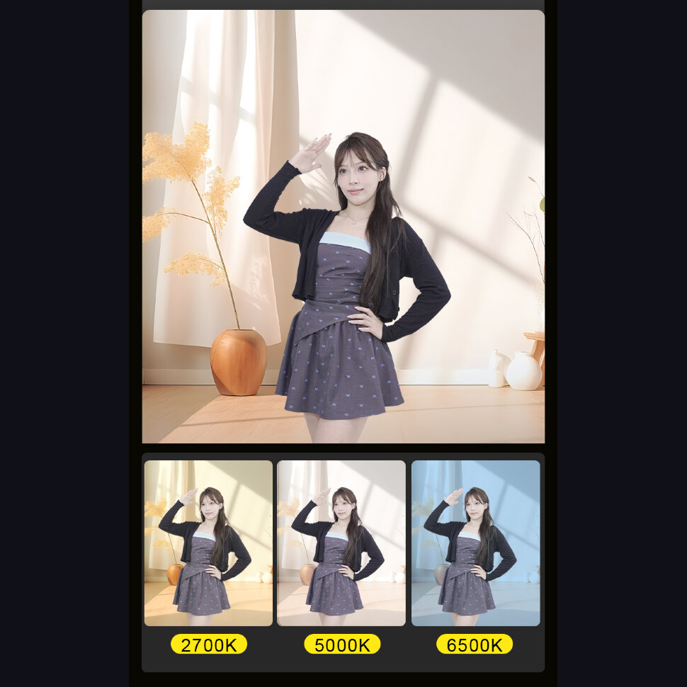 Осветитель NiceFoto FC-3000A Осветитель NiceFoto FC-3000A