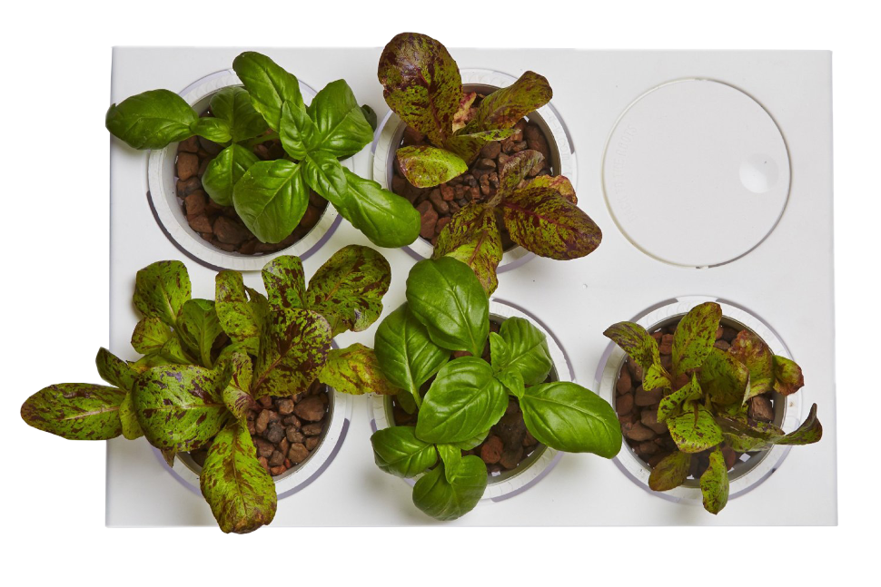 Акваферма Aquafarm Акваферма Aquafarm