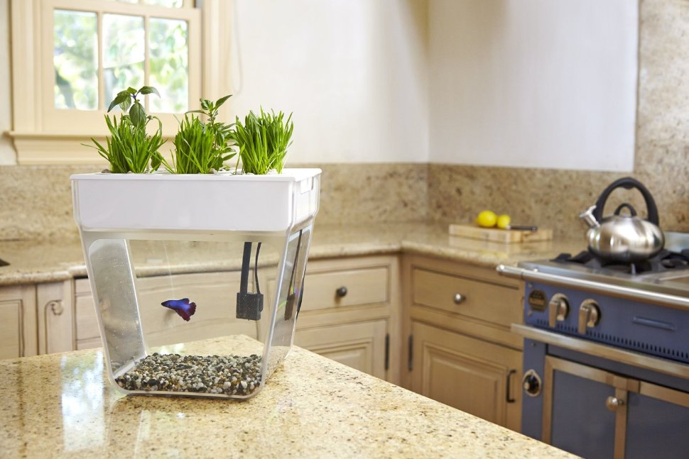 Акваферма Aquafarm Акваферма Aquafarm