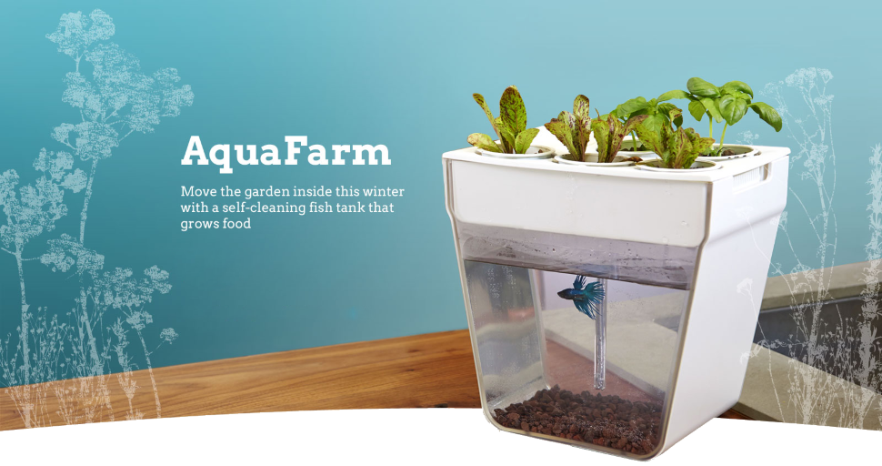Акваферма Aquafarm Акваферма Aquafarm