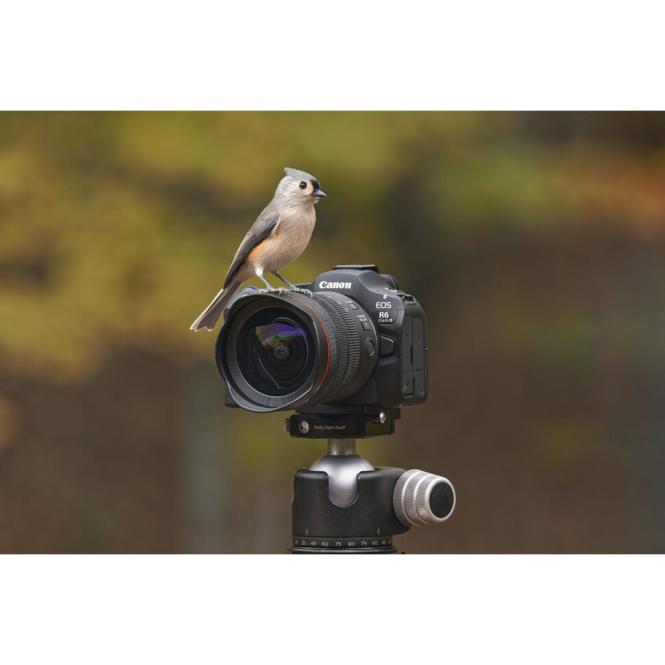 Беззеркальная камера Canon EOS R6 Mark III Kit 24-105mm F4 Беззеркальная камера Canon EOS R6 Mark III Kit 24-105mm F4