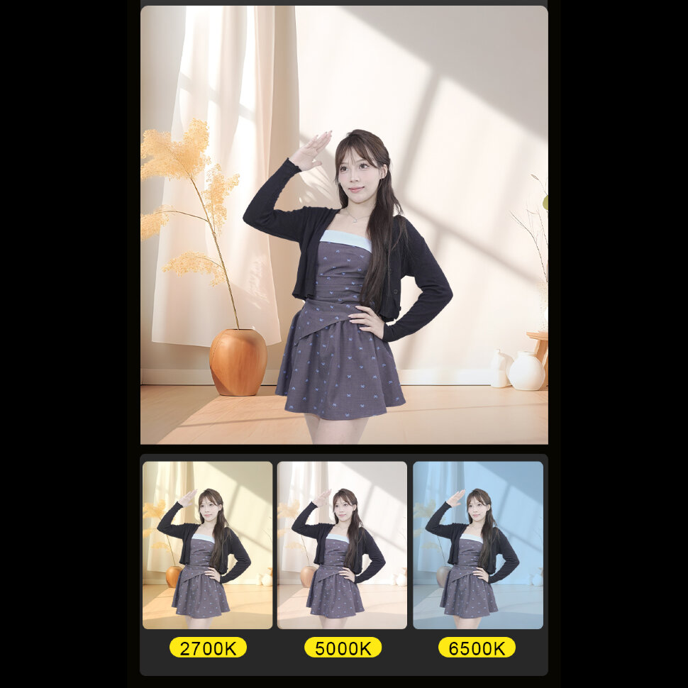 Осветитель NiceFoto FC-6000A Осветитель NiceFoto FC-6000A