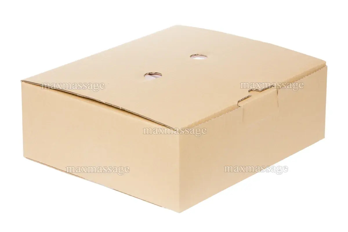 Аппарат для лимфодренажа WelbuTech Zam-02 – Стандартный комплект, размер XL, (РУ) Аппарат для лимфодренажа WelbuTech Zam-02 – Стандартный комплект, размер XL, (РУ)