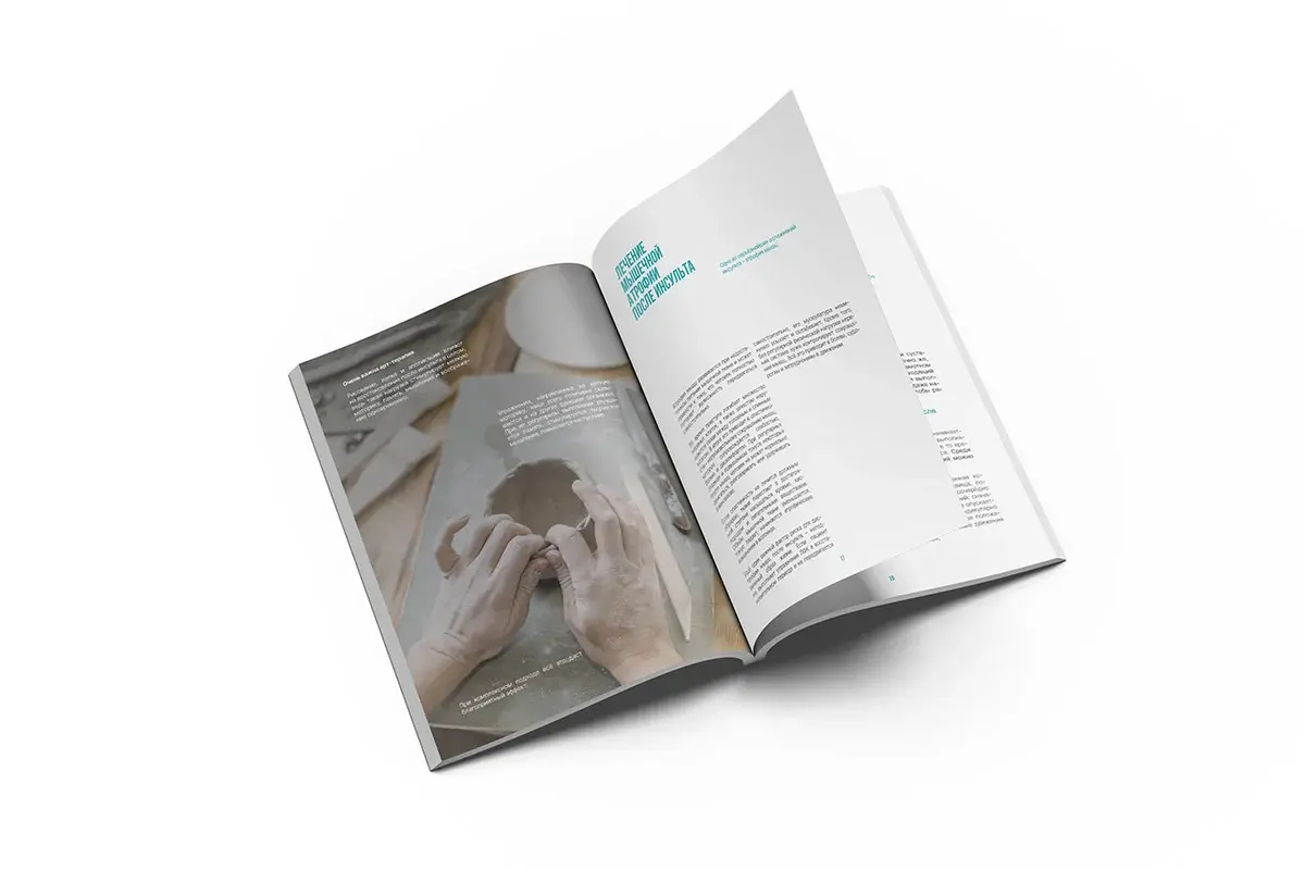 Книга (электронная) «Профилактика и жизнь после инсульта» Книга (электронная) «Профилактика и жизнь после инсульта»